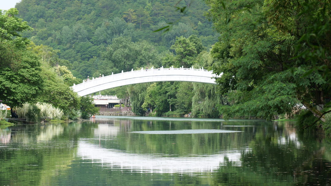 花溪公园:初夏景色美如画