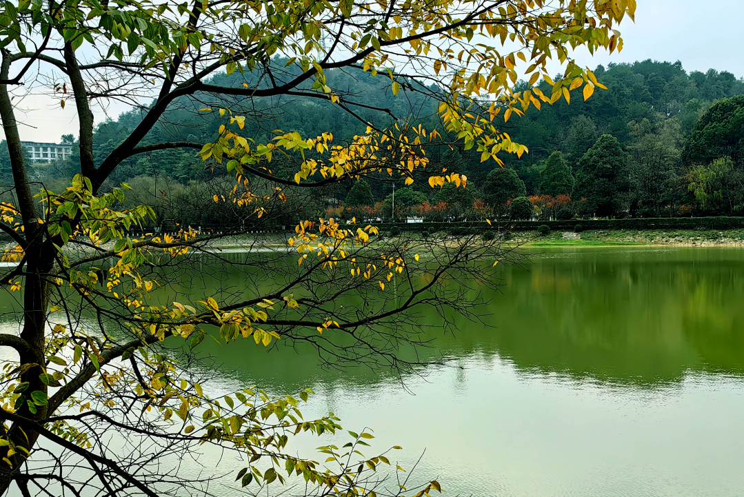 长坡岭公园图片