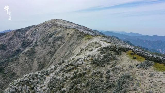 小滿過後,牛背梁景區現夏日冰掛奇觀