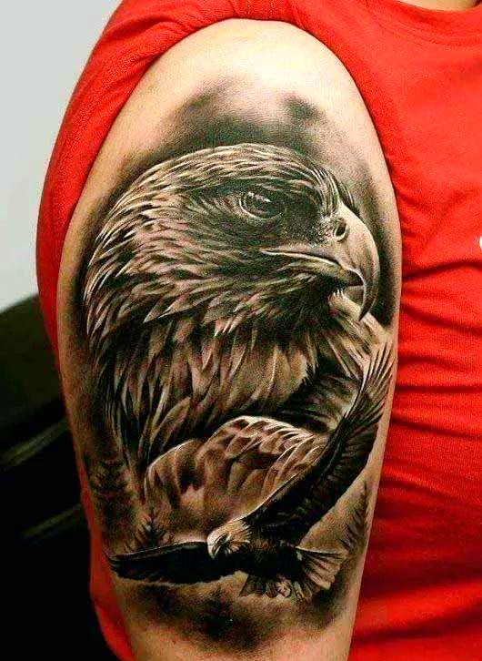 老鹰纹身的文化象征与自然法则解析