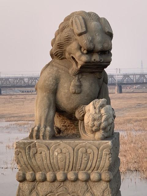 800多年卢沟桥暴雨后安然无恙,石狮子屹立威严依旧