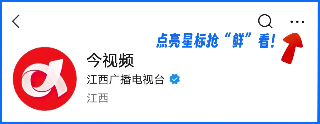 宝马计划召回超23万辆车，“可能存在安全隐患”-有驾
