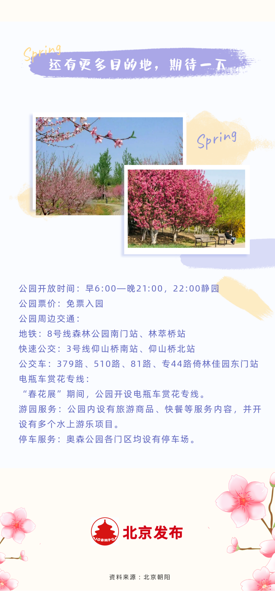北京朝阳奥森公园赏花推荐路线来了!