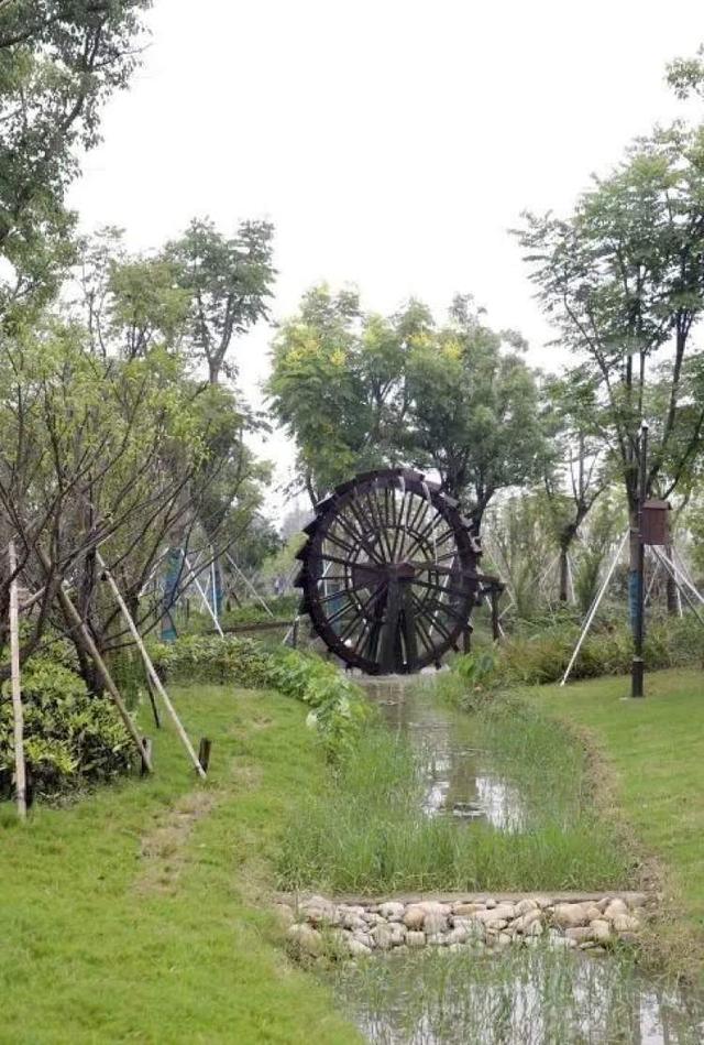 吕巷镇丨变化,甜蜜,欢乐,丰收……吕巷水果公园的一年