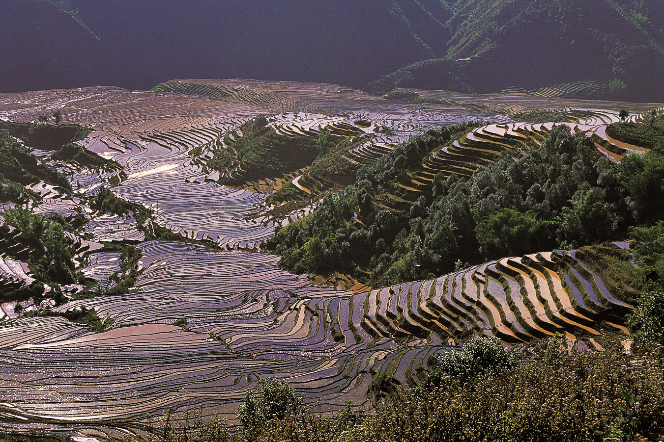 绿春县风景图片