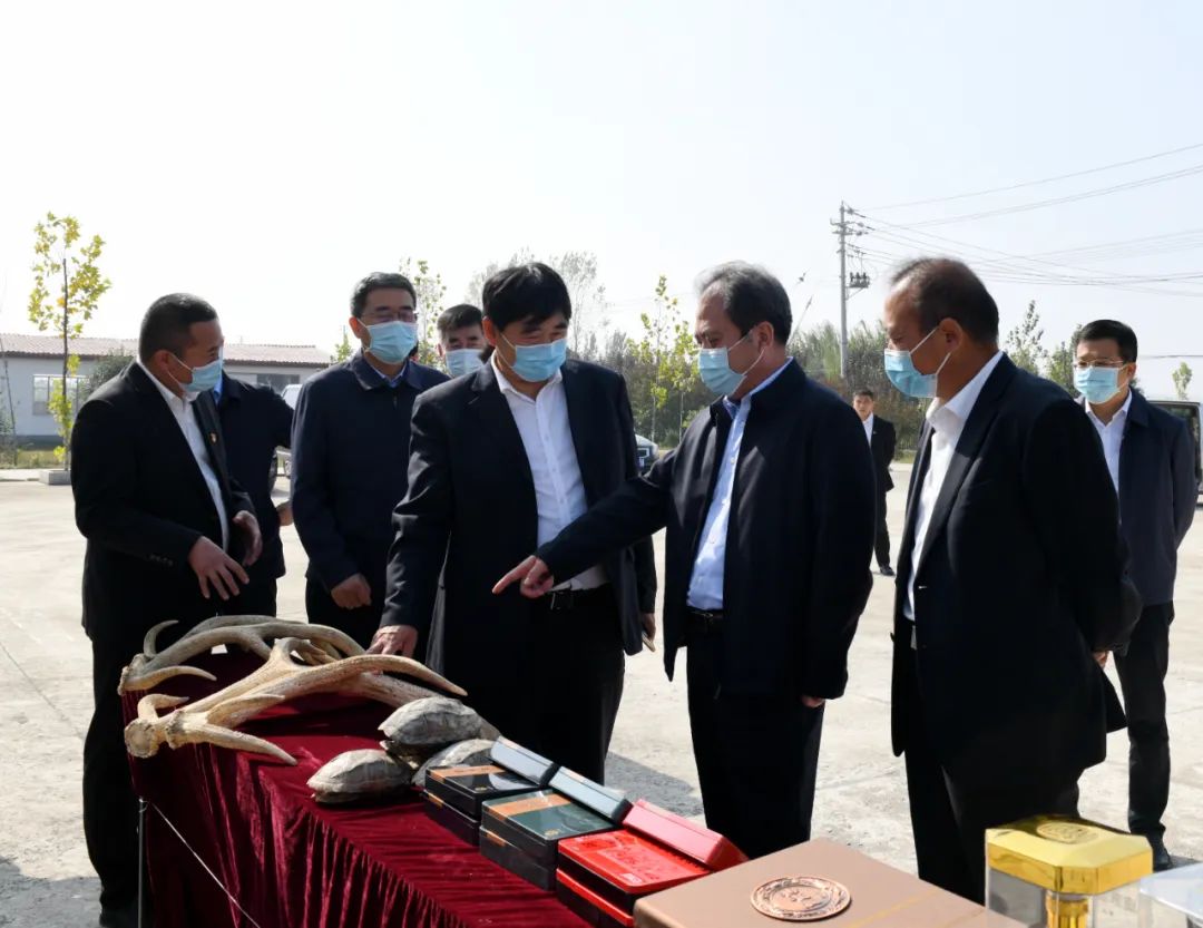 驻马店市委副书记曹新博深入新蔡县调研