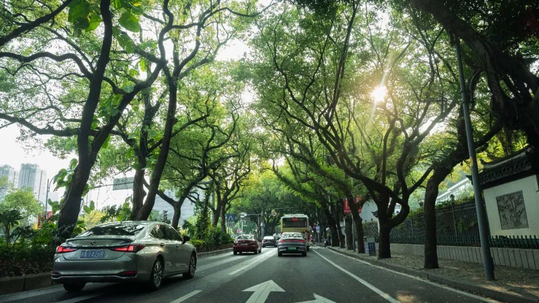 福州,有一种不顾别人死活的美和好吃