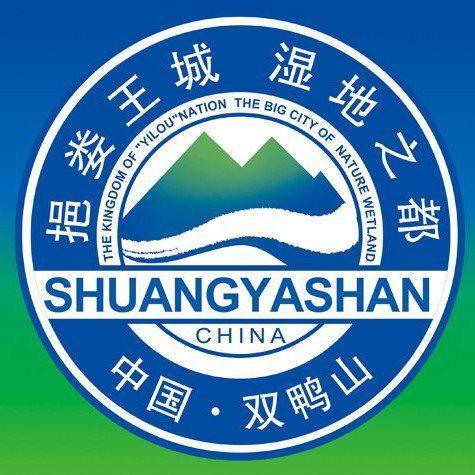 包含双鸭山专业的网站建设企业的词条