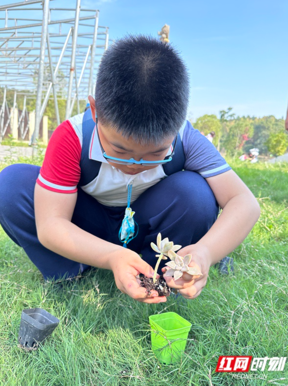 秋游研学正当时 长沙周南秀峰学校千名学生开展劳动实践