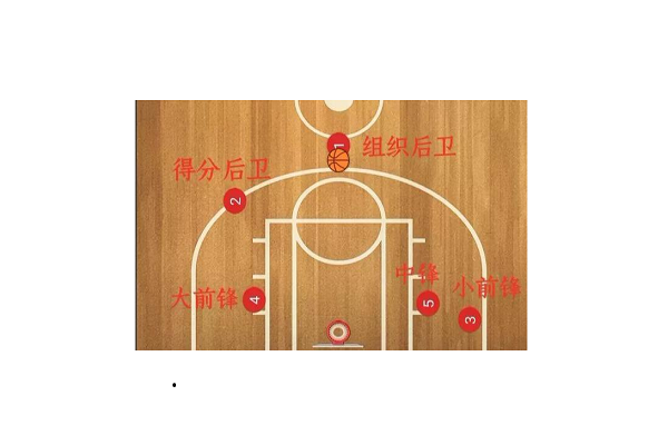 篮球职位图片