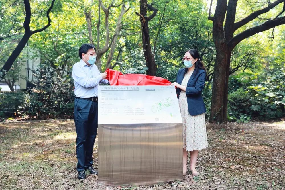 近百年来首次对外,陕西北路457号内绿地花园破墙开放