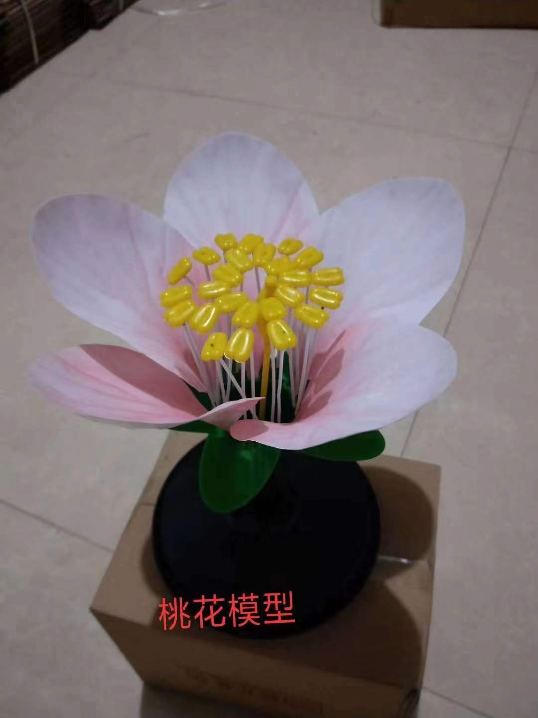 桃花模型制作过程图片图片