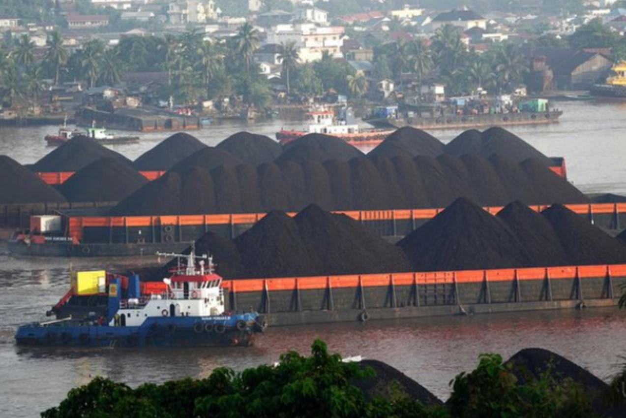 中国最大煤炭进口国:断供一个月!