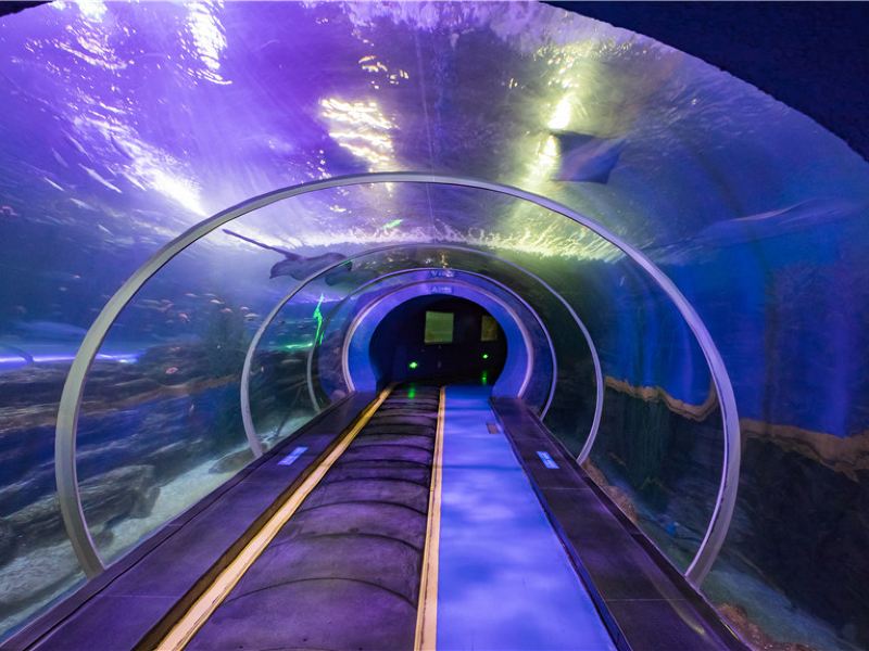 青岛海底隧道多长?