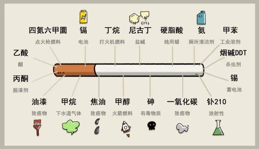吸烟有害吗?英国烟草公司拿48只狗做实验,三年每天抽100根烟