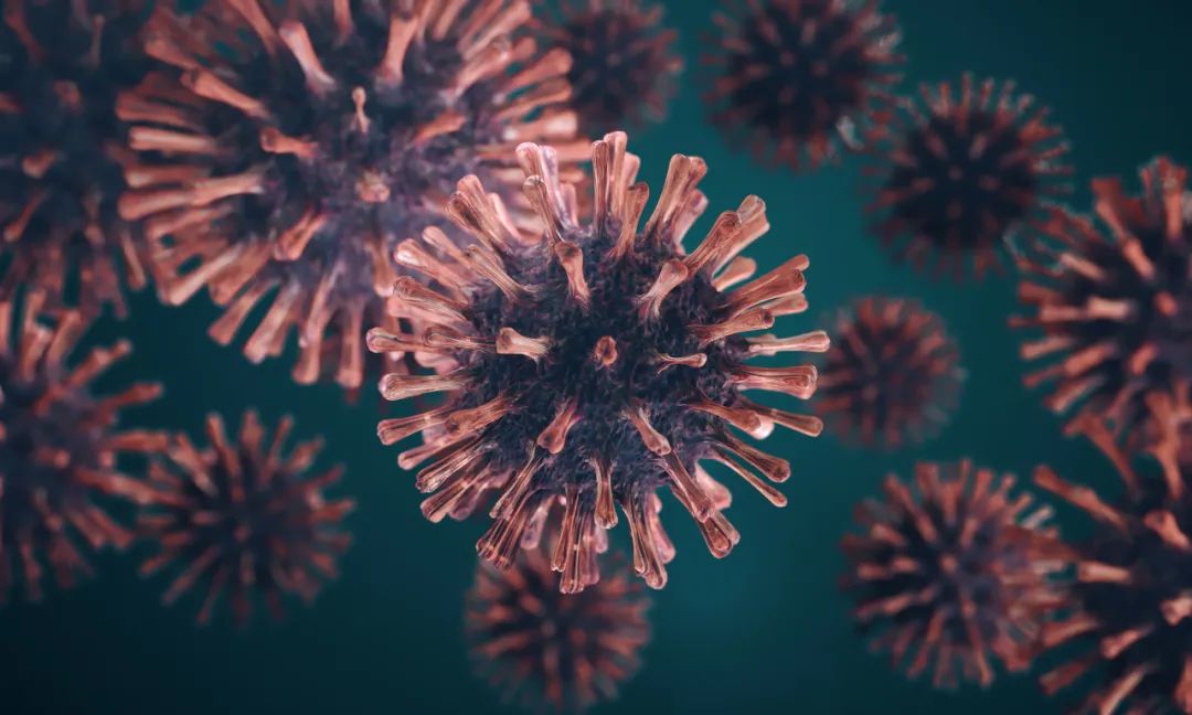 2人属英国出现变异毒株,曾在同一境外货船作业!