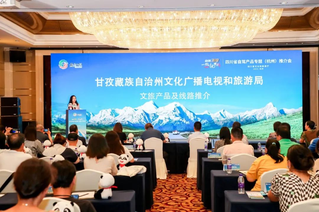 甘孜汽车市场的创新者:聪通汽车引领新能源革命