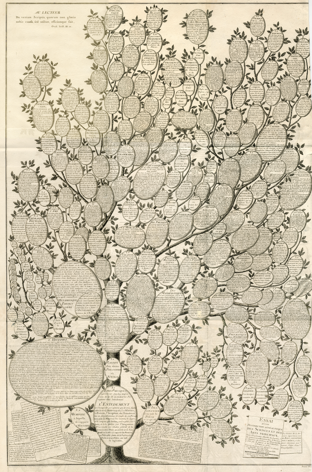 世界树2024中国美术学院毕业季主题发布