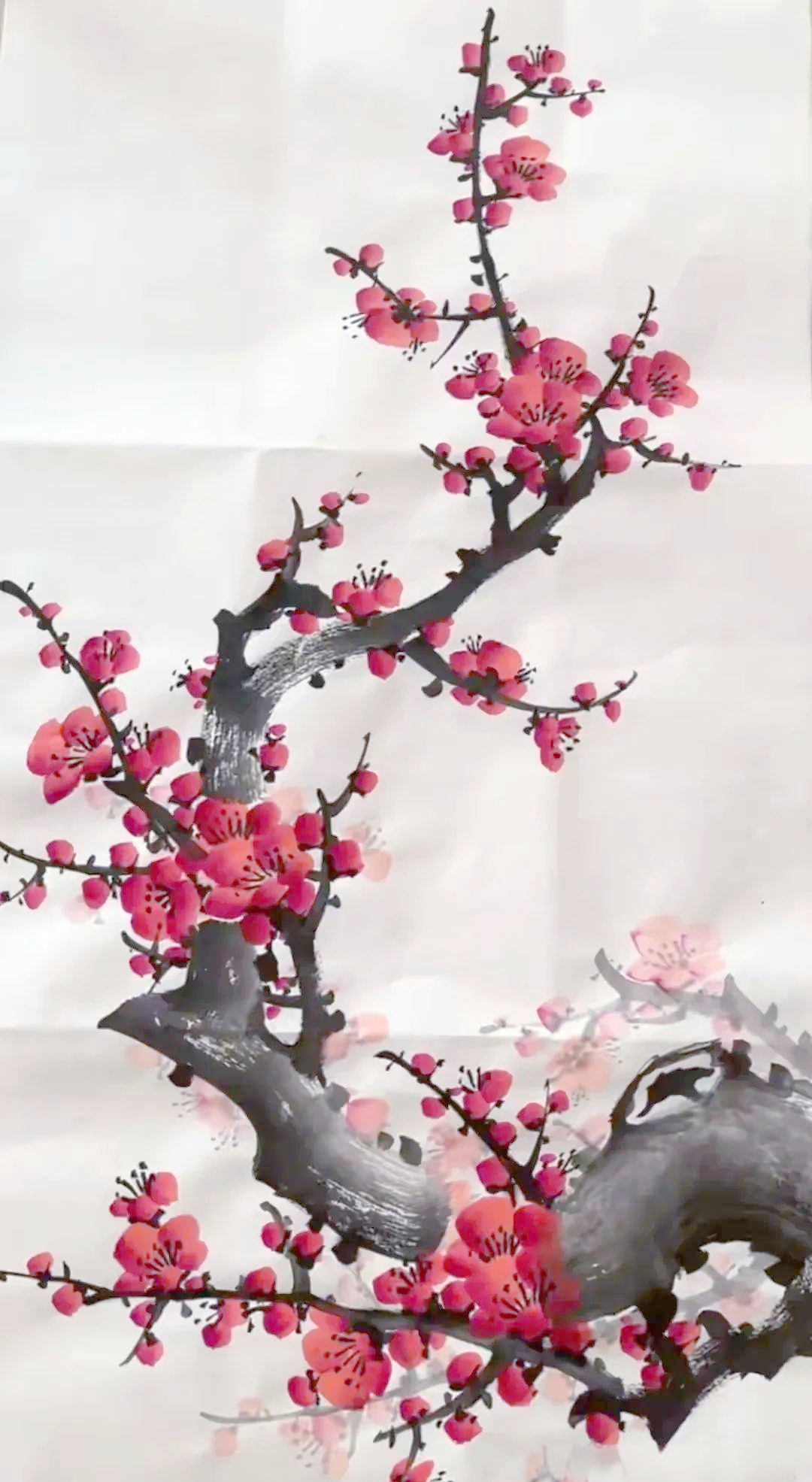 国画梅花:品味独特的墨香梅韵与坚韧品质