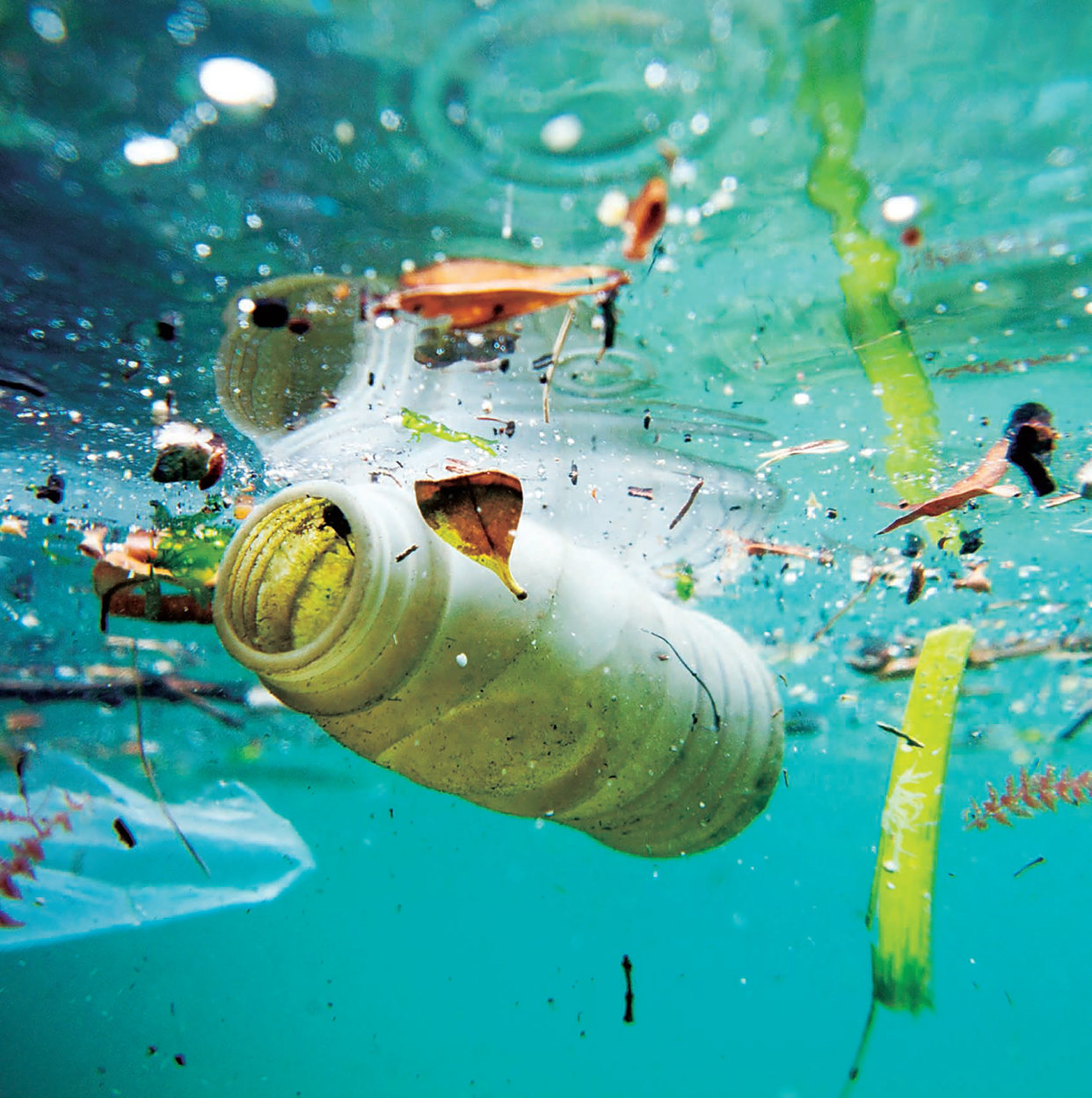 全球最大的游轮,可乘坐6600人,在海上如何处理大量垃圾