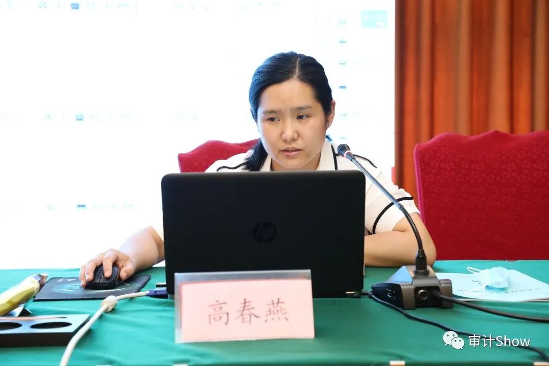 访谈|高春燕:查深查透问题 扩大审计成果