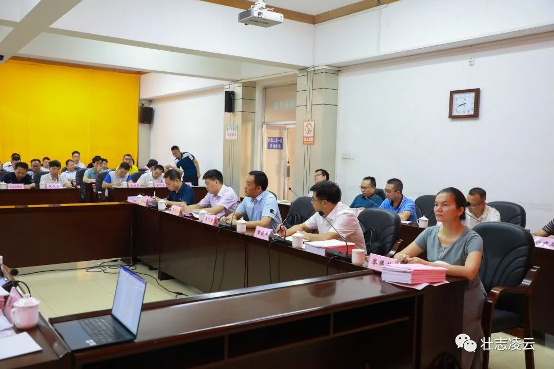 凌云县全域乡村振兴规划座谈会召开