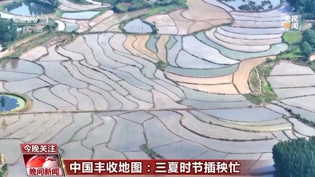 收麦插秧两头忙 又是一年好"丰"景