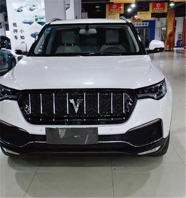 汽车标志一个v的是什么牌子