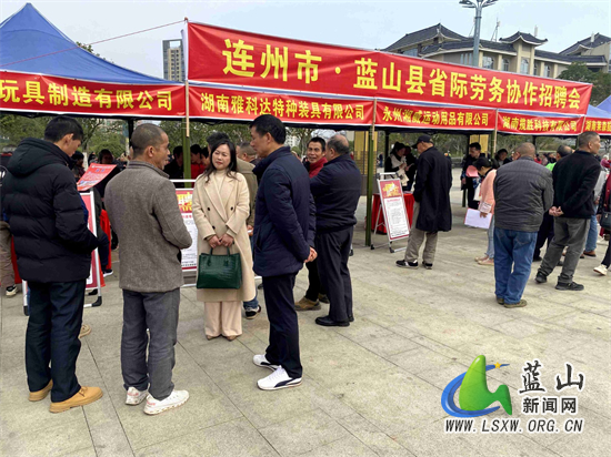 蓝山:异地招聘 助力企业和求职者"双向奔赴"