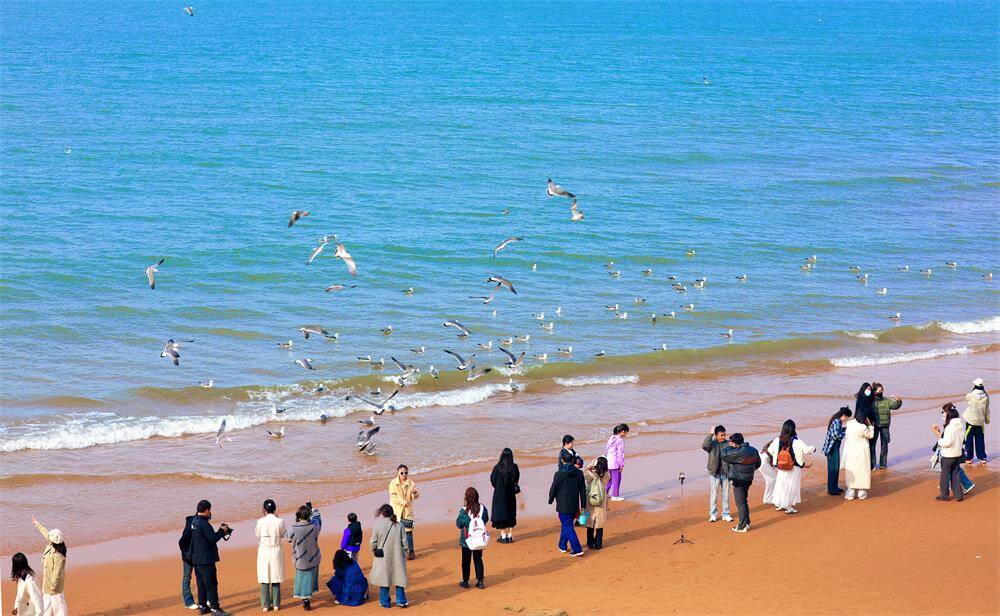 威海国际海水浴场赶海图片