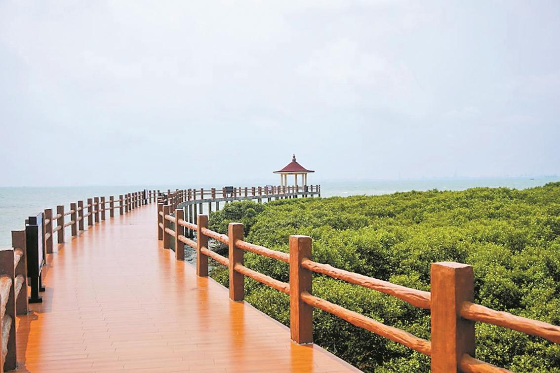 湛江霞山特呈岛:小众海岛焕发文旅新活力