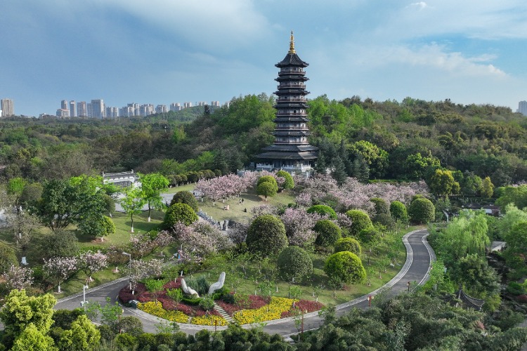 重庆园博园景点介绍图片