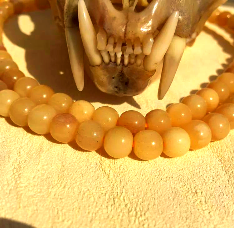 探索驼骨:一种独特的"骨"文玩