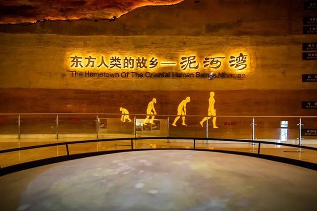 十一去哪儿玩|阳原第四站——泥河湾博物馆