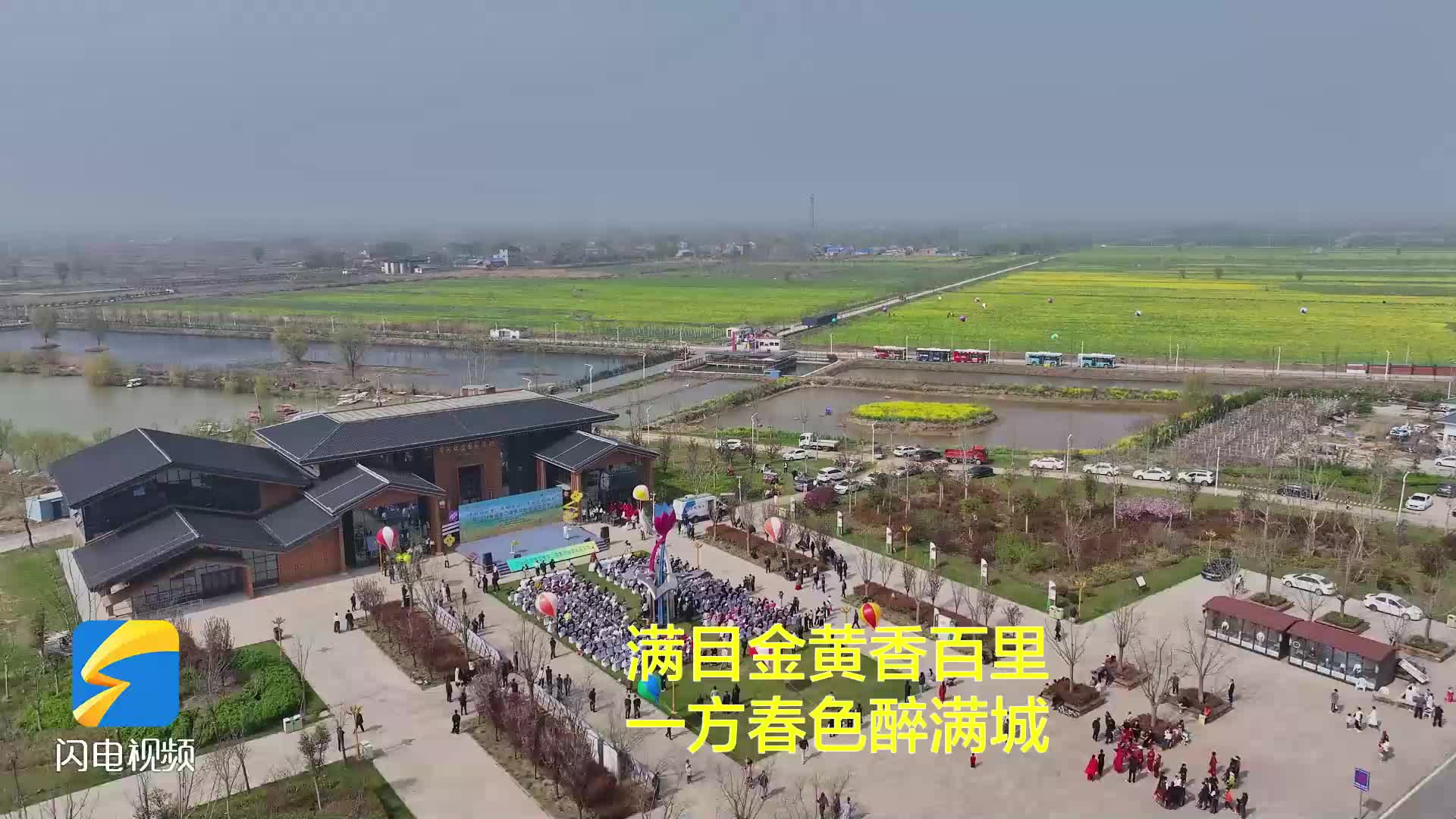 2024曹县第二届油菜花节开幕