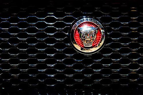 伴随着一款全新设计的轿车ssjaguar的亮相而问世,这款车的标志以两