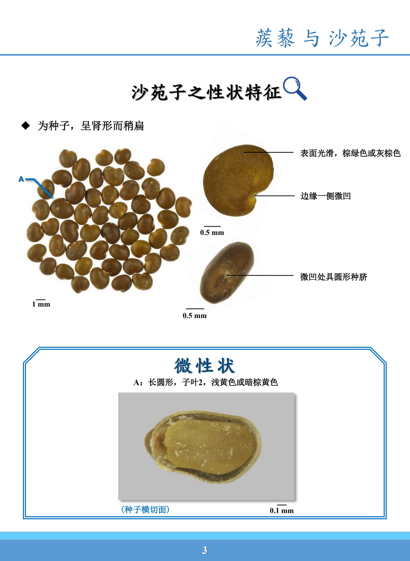 蒺藜和沙苑子鉴别