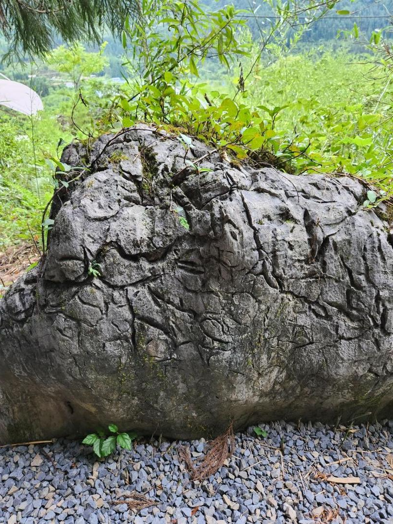 越南"安阳王"蜀泮在荥经中国桌山留下"巴蜀符号"