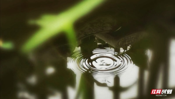 摄影美文丨谭应林:正是秋风阅雨时