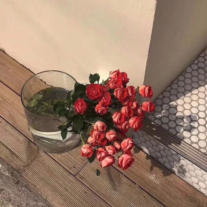 朋友圈背景图/配图