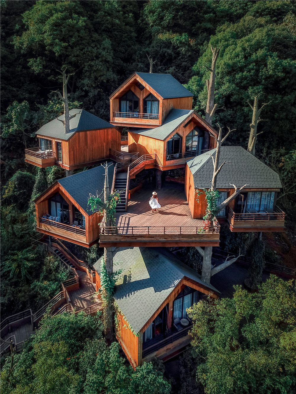 神仙颜值!杭州这片树屋获美国著名艺术网站狂赞