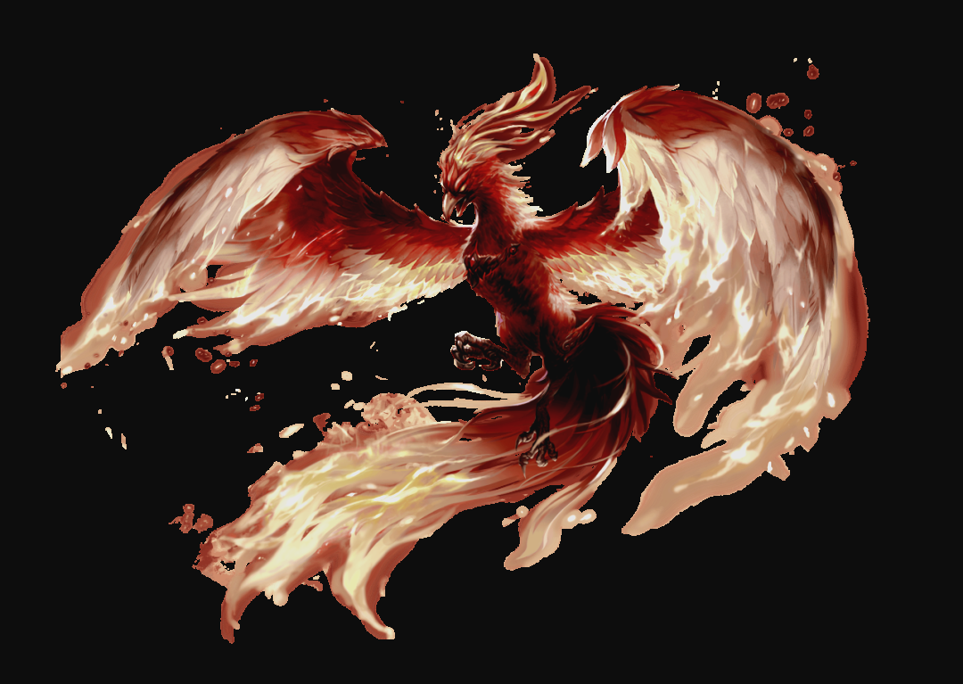 「夏季治安巡查」发现的奇特小鸟,疑似"黑凤凰"