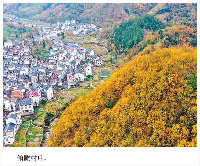 画里山乡景美路畅(寻找最美乡村·荆州乡)