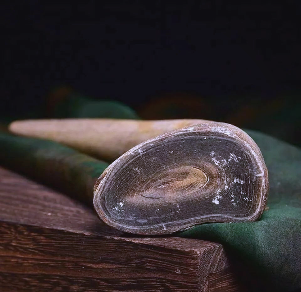 披毛犀的鉴别特征及方法