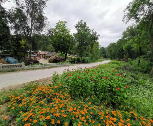 上杨村村干部:践行使命 不负韶华