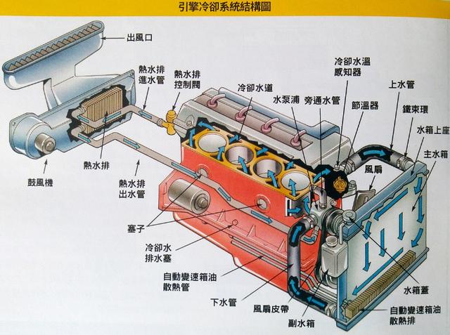 节温器图解图片