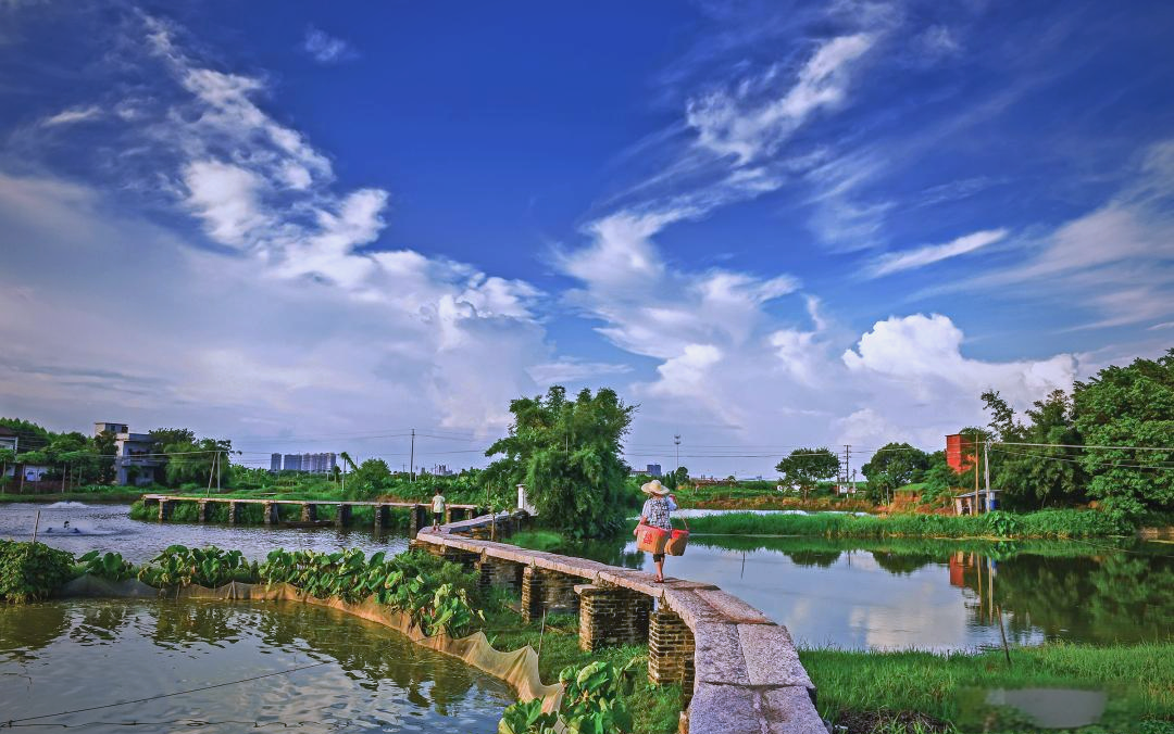 古劳水乡民宿招商热潮:文化与自然的完美结合