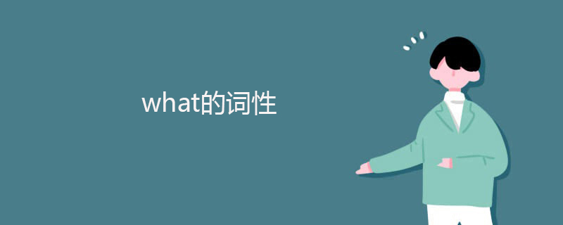 what的词性是什么?