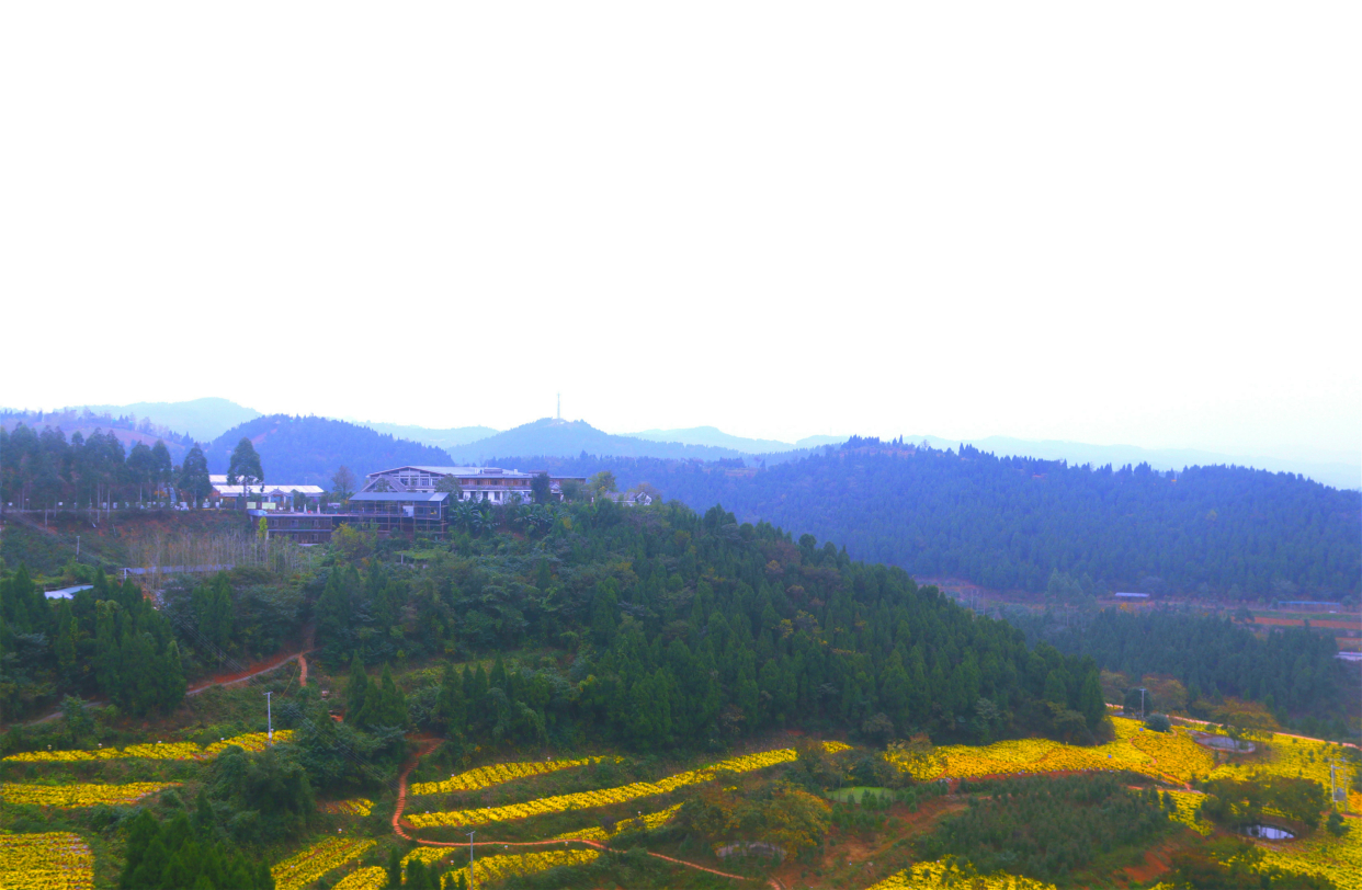 金秋时节 走进金堂玉皇山森林公园赏秋日美景