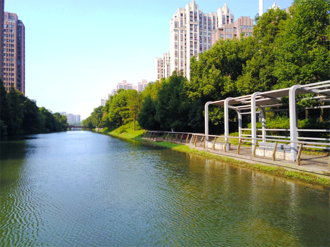 嘉定:碧波荡漾照岸景,河畔清风舒心灵——安泾